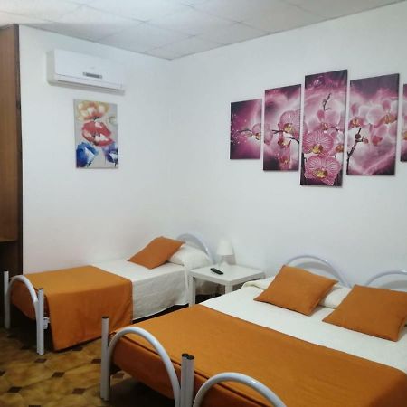 צ'יוויטווקיה Albergo Ollolai מראה חיצוני תמונה